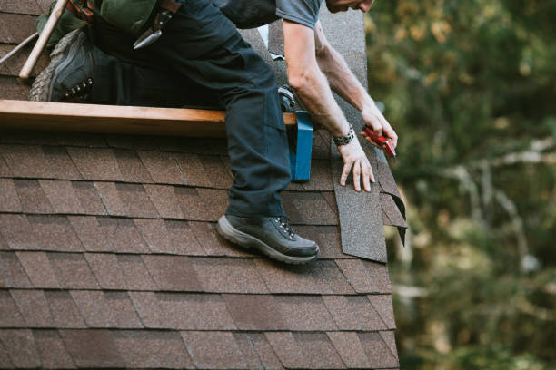 Best Metal Roofing Contractor  in Columbia, SC